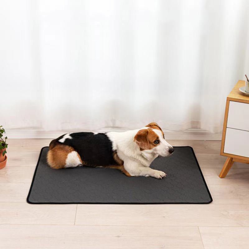 Waterproof Pet Mat | Water - absorbing Pet Pee Pad | Reusable and Washable | Anti Slip - goosavvy.com