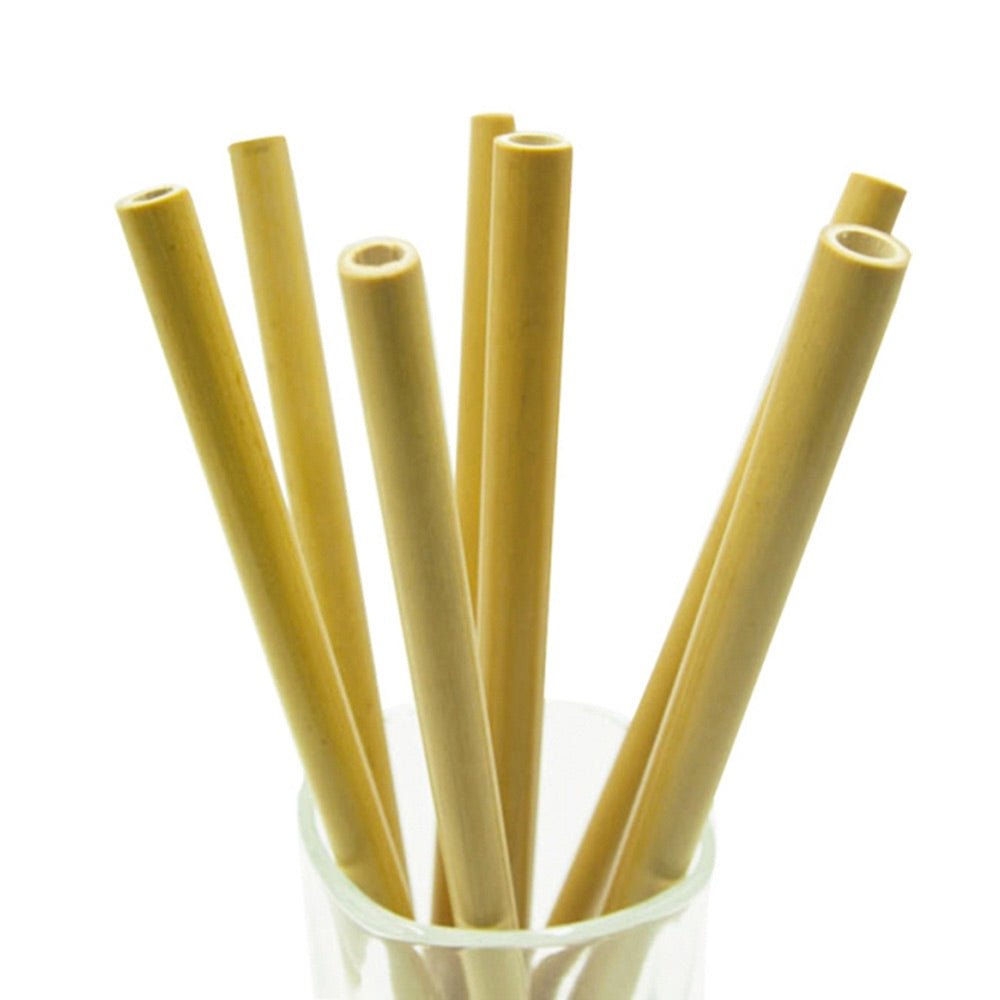 Reusable Bamboo Straws | Biodegradable Drinking Straws with Cleaning Brush | Organic Straws Pack of 10 - goosavvy.com