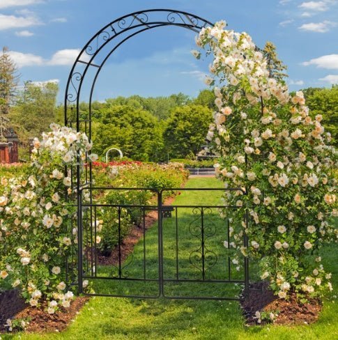 7ft Black Wrought Iron Garden Arch with Double Deck, Door & Rounded Roof - goosavvy.com