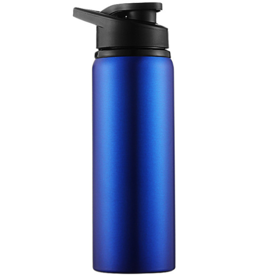 Stainless Steel Reusable Sports Water Bottle | 700ML Capacity | With Handle