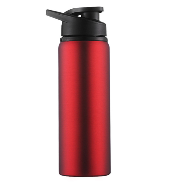 Stainless Steel Reusable Sports Water Bottle | 700ML Capacity | With Handle