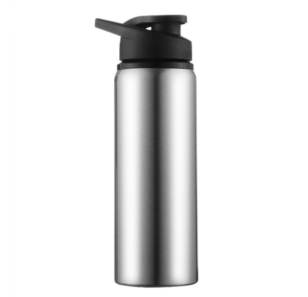 Stainless Steel Reusable Sports Water Bottle | 700ML Capacity | With Handle - goosavvy.com