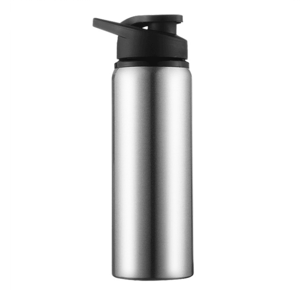 Stainless Steel Reusable Sports Water Bottle | 700ML Capacity | With Handle - goosavvy.com