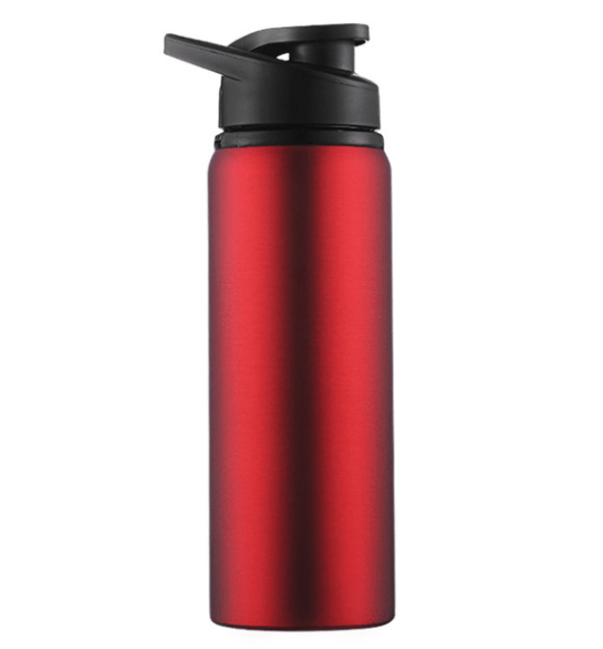 Stainless Steel Reusable Sports Water Bottle | 700ML Capacity | With Handle - goosavvy.com