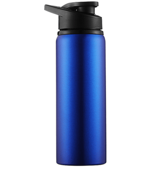 Stainless Steel Reusable Sports Water Bottle | 700ML Capacity | With Handle - goosavvy.com