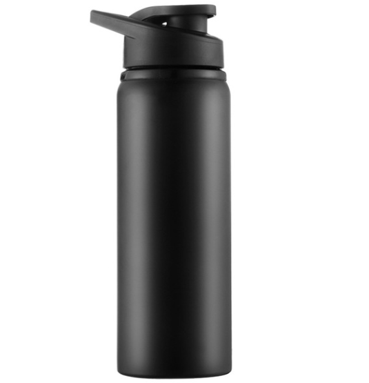 Stainless Steel Reusable Sports Water Bottle | 700ML Capacity | With Handle - goosavvy.com