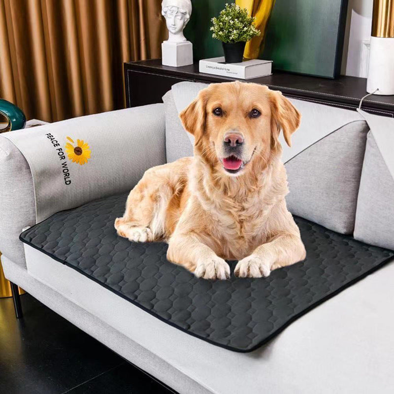 Image for reusable washable pet pee pad in dark grey color spread on a sofa with a dog sitting on it.