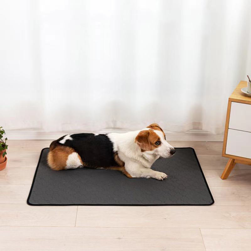 Image for reusable washable anti-slip pet pee pad in dark grey color spread on the floor. A dog is sitting on the mat with some furniture placed on the side.