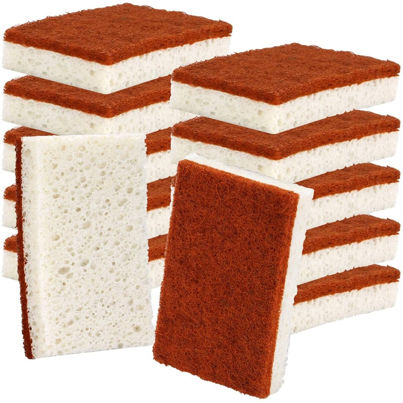 Palm Fiber Dishwashing Sponge (5 pack)