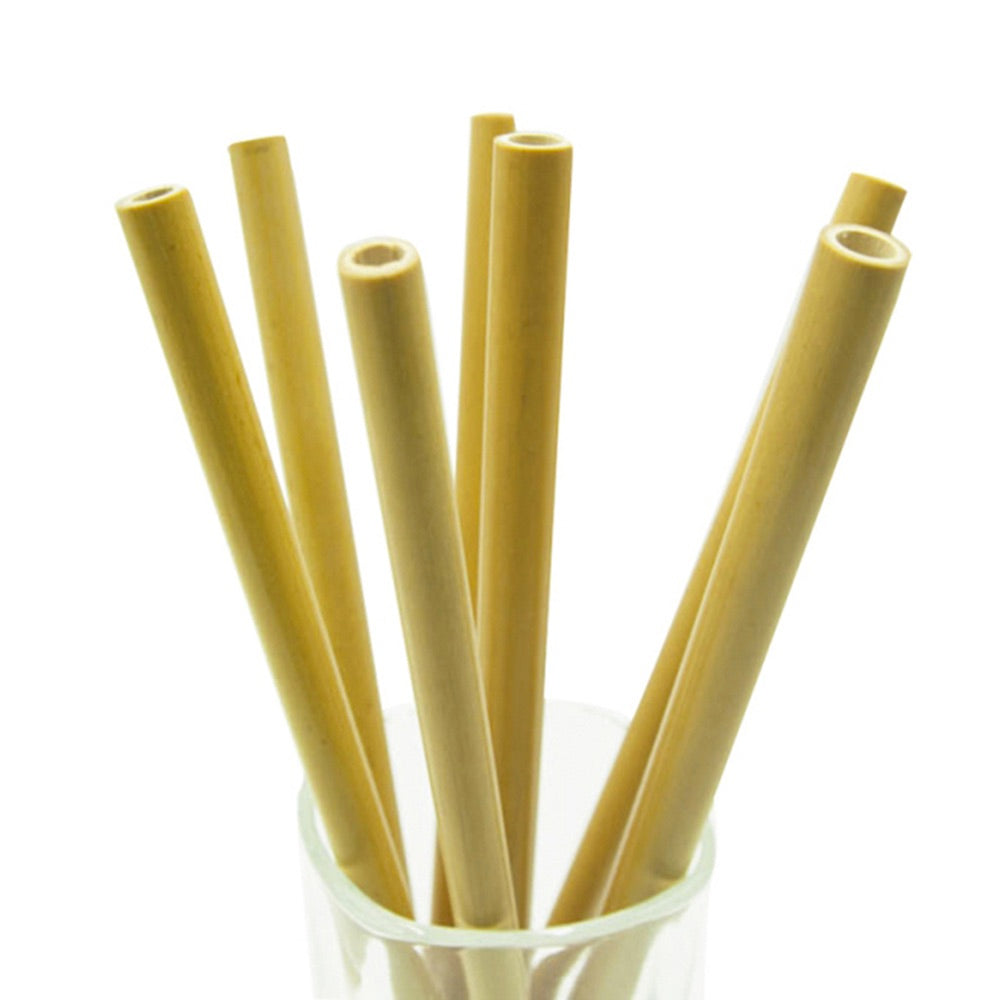 Premium Bamboo Straws - Bamboo Step Reusable Straws