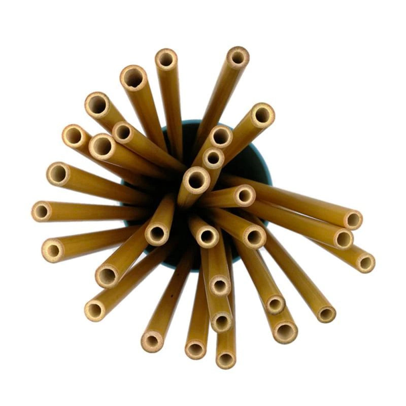 Image for reusable bamboo drinking straws placed in a cup pictured from a top view.