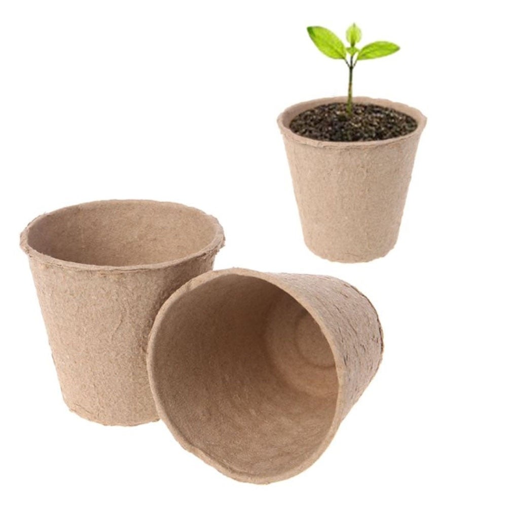 Image for three paper seed starter pots. One has a small plant in it and the other two are empty and lying on the ground.